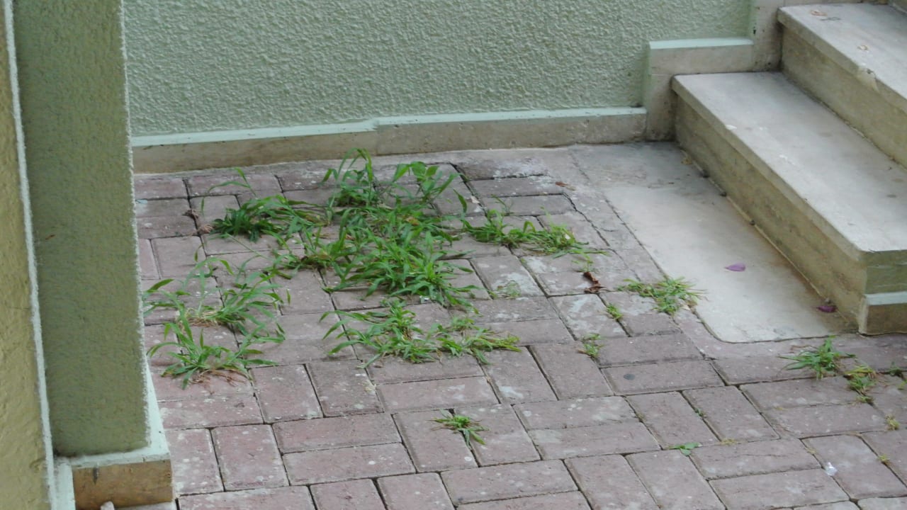 Zugangsweg zu den Zimmern VONRESORT Golden Beach