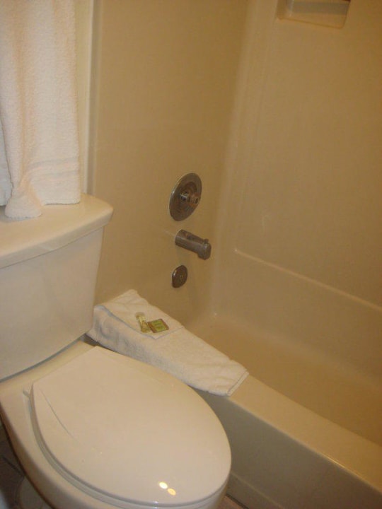 Bad Super 8 Motel - Visalia