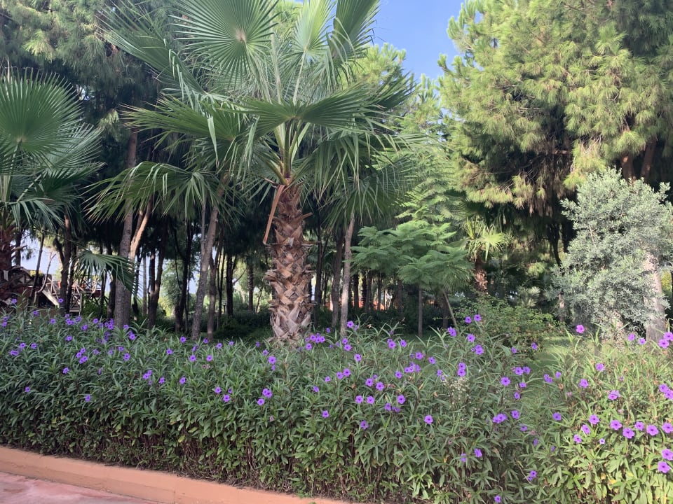 Gartenanlage Club Turtas Beach Hotel