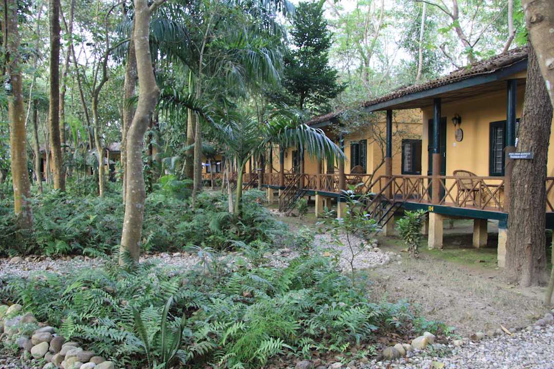 Zimmer Hotel Maruni Sanctuary Lodge
