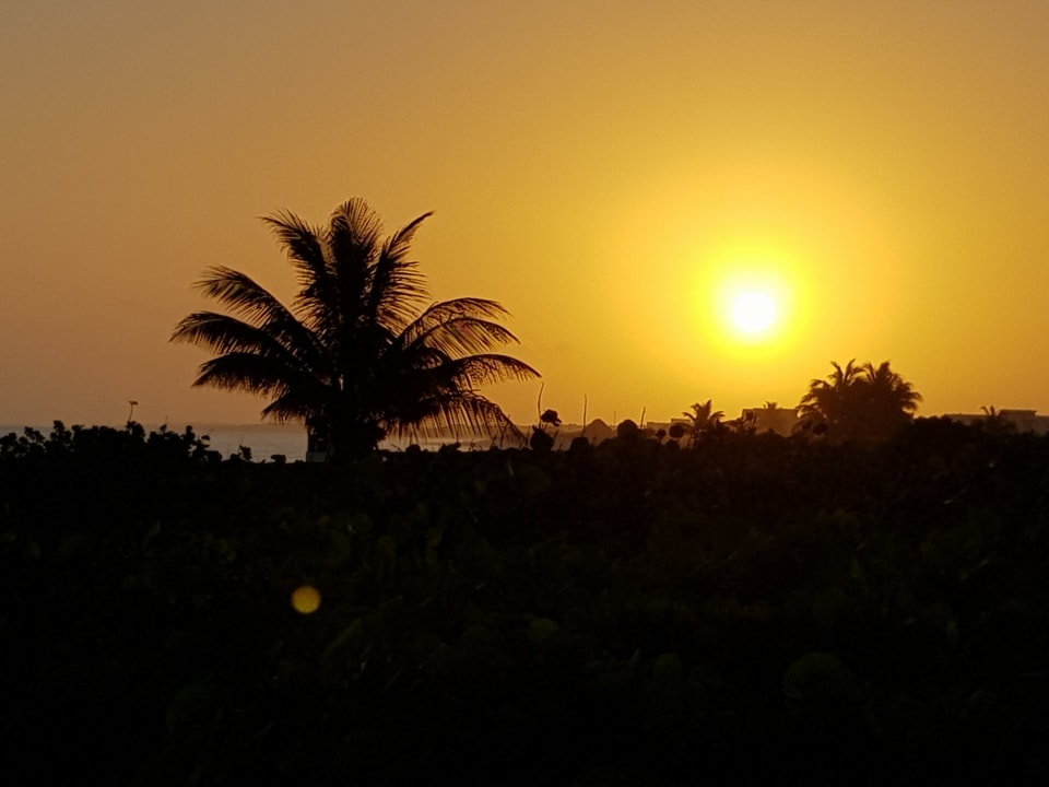 Strand Melia Las Dunas