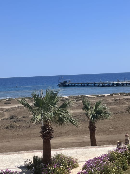 Gartenanlage Shams Alam Beach Resort