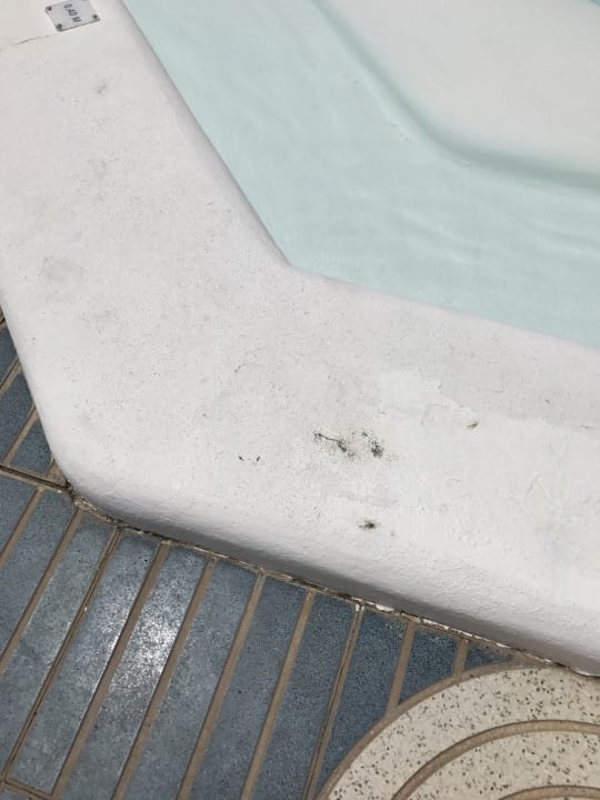 Pool Relaxia Olivina