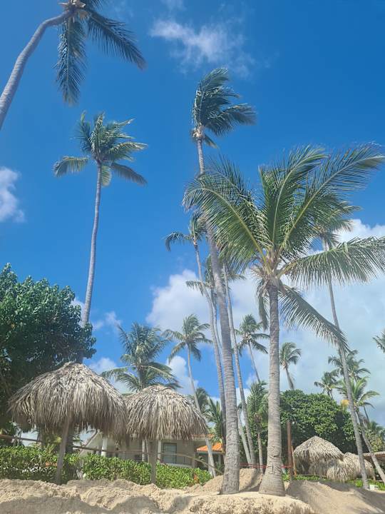 Strand Dreams Flora Resort & Spa - All Inclusive