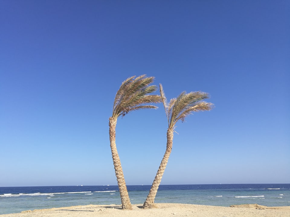 Strand Malikia Resort Abu Dabbab