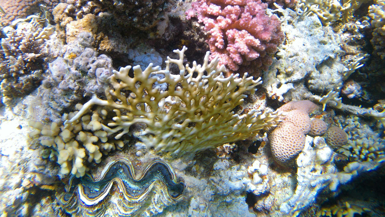 Sport & Freizeit Makadi Spa - Adults only