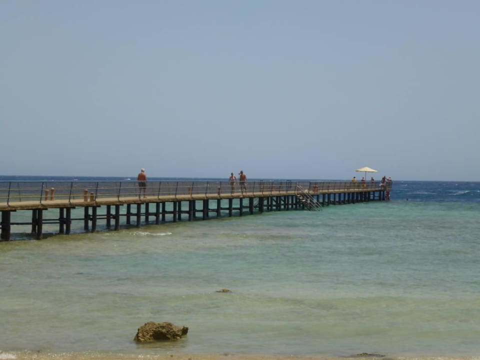 Steg Pickalbatros Palace Hotel-Port Ghalib