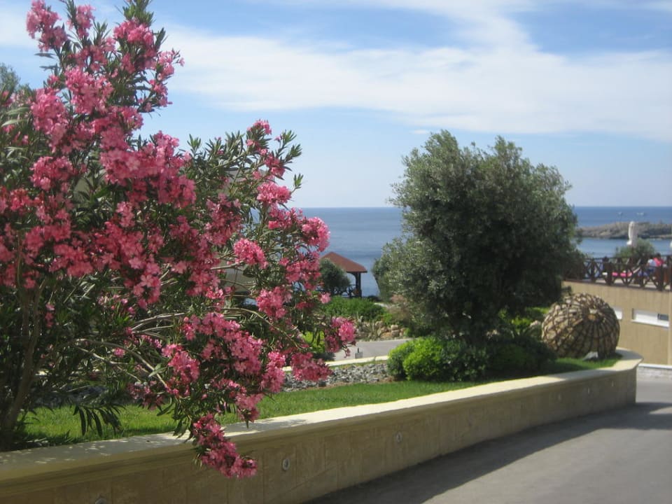 Sehr gepflegte Anlage Hotel Kalithea Mare Palace