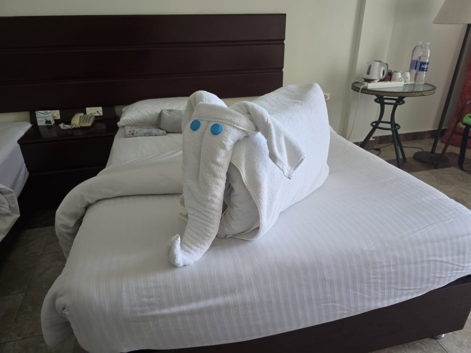 Zimmer Three Corners Equinox Beach Resort