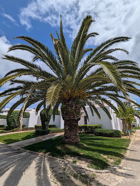 Gartenanlage Hotel Ancora Park