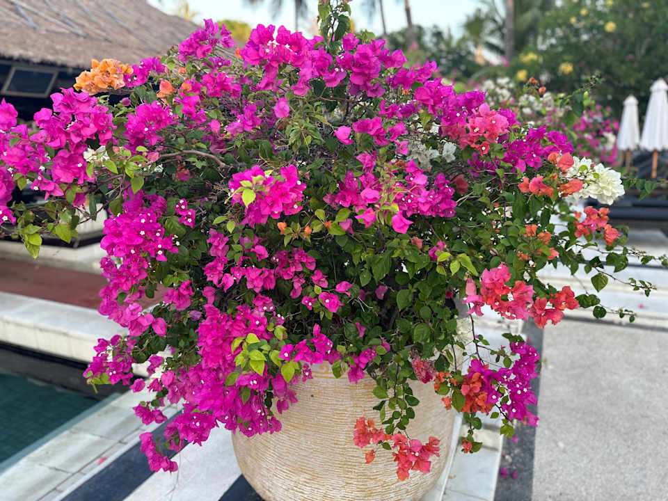 Gartenanlage InterContinental Bali Resort