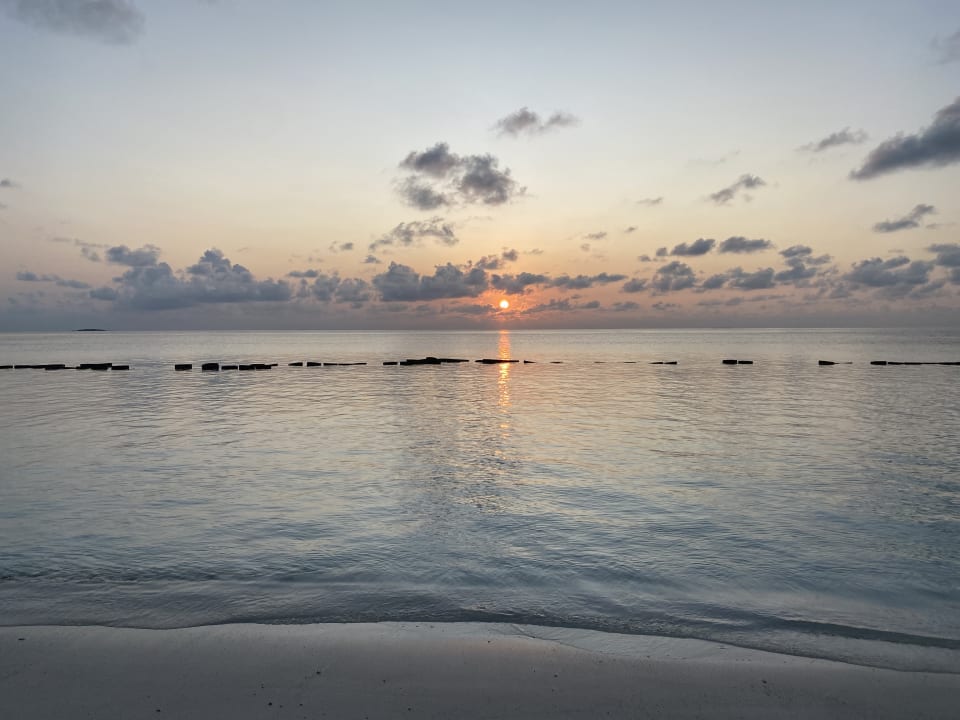 Strand Safari Island Maldives