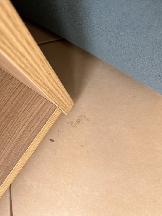Zimmer allsun App.-Hotel Albatros