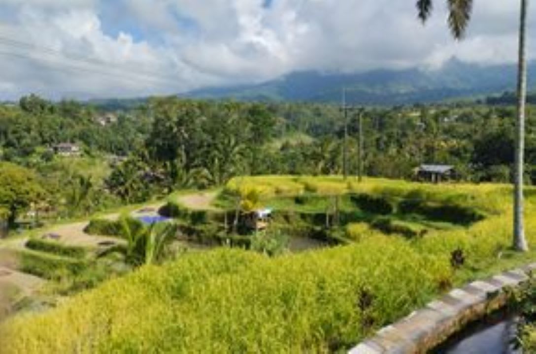 Ausblick Village Above The Clouds