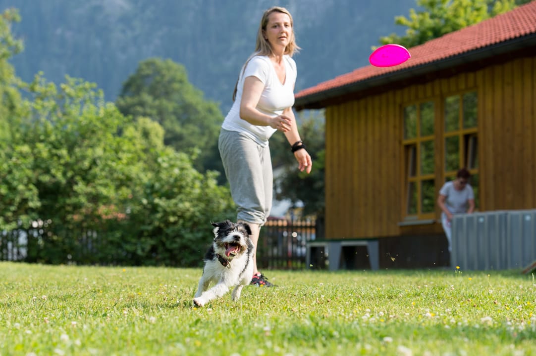 Sport & Freizeit Hundesporthotel Wolf