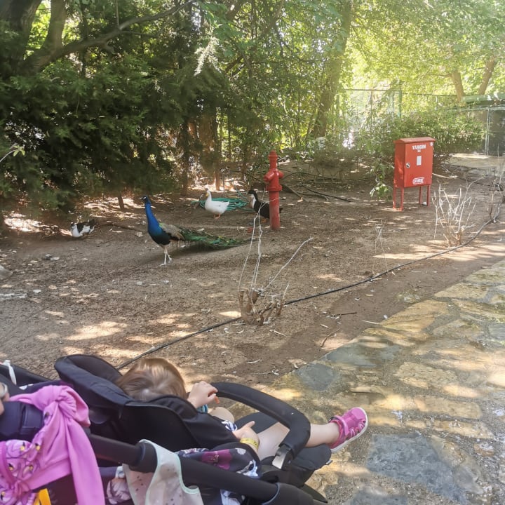 Sport & Freizeit TUI MAGIC LIFE Sarigerme