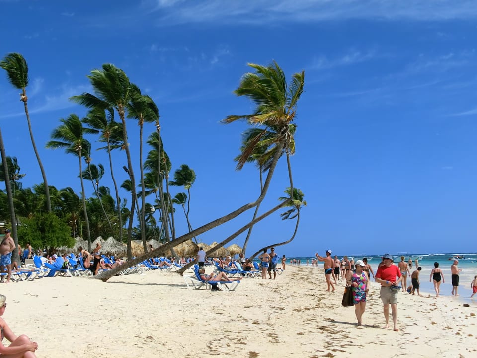 Lebendiger Abschnitt vom Strand Grand Palladium Select Bávaro Resort & Spa