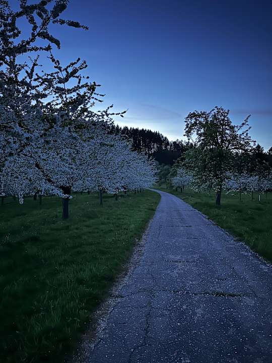 Außenansicht Waldhotel Grüner Baum