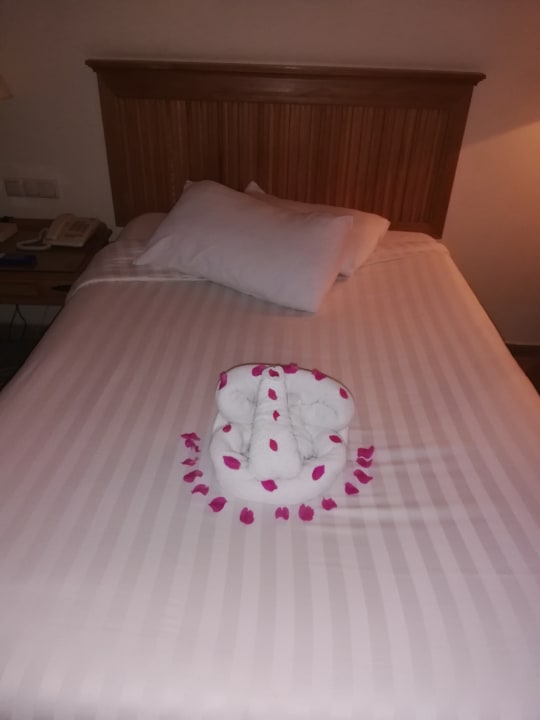 Zimmer Sharm Plaza