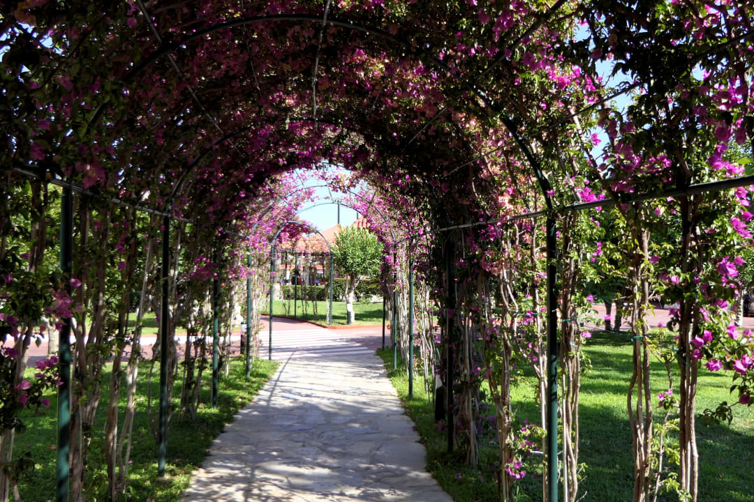 Gartenanlage Miramare Queen Hotel