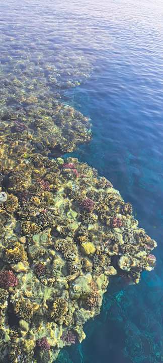 Strand Pickalbatros Palace Hotel-Port Ghalib