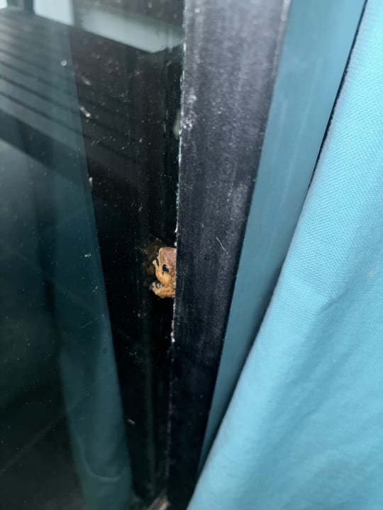 Zimmer The Waters Khao Lak by Katathani