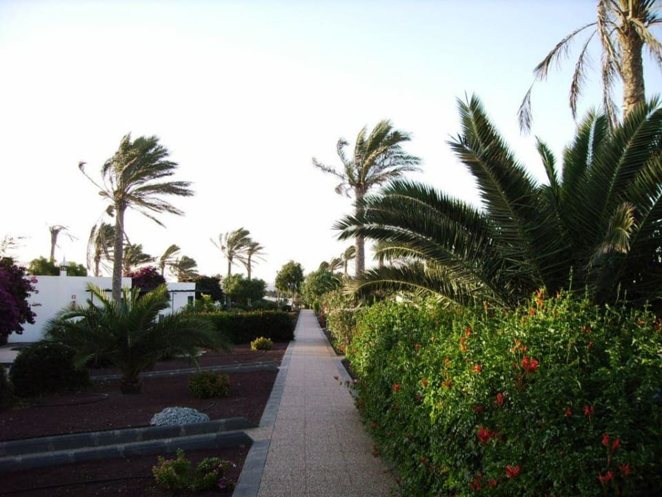 Garten Hotel HL Club Playa Blanca