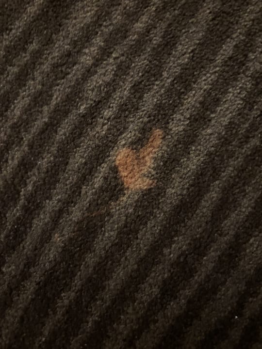 Zimmer The Domicil Hotel Frankfurt City