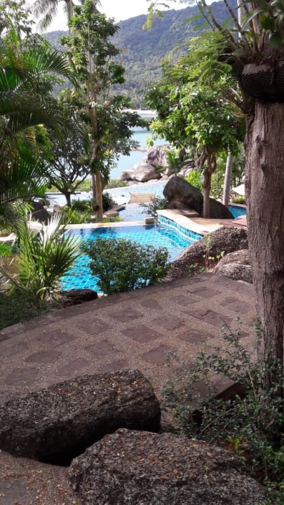 Pool Panviman Resort Koh Phangan