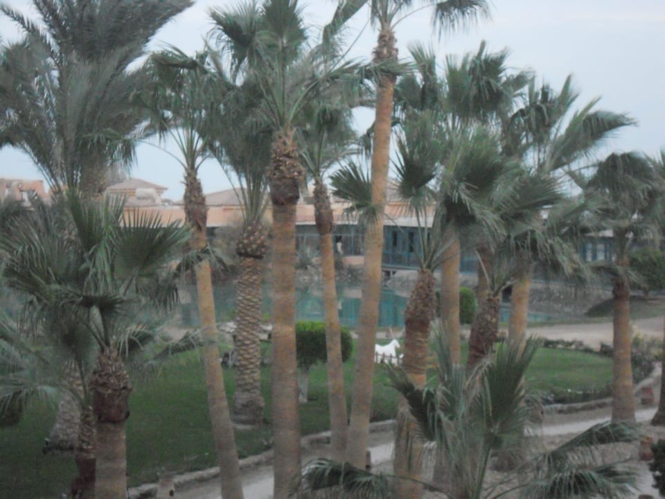 Weg zum Restaurant Club Paradisio El Gouna, Red Sea
