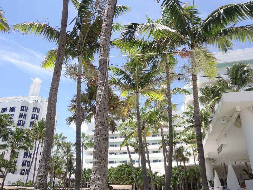 Außenansicht Hotel Riu Plaza Miami Beach