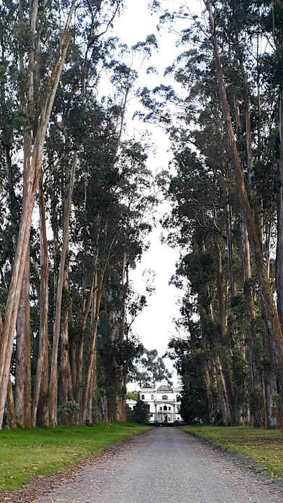 Gartenanlage Hacienda La Cienega