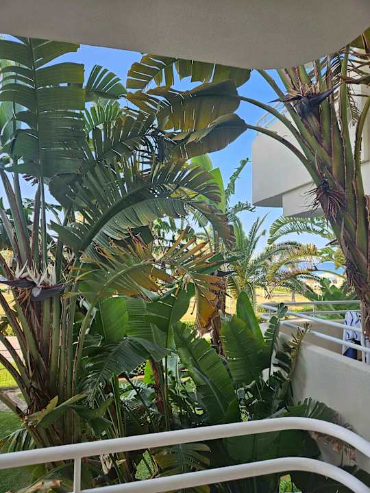 Ausblick Hipotels Mercedes