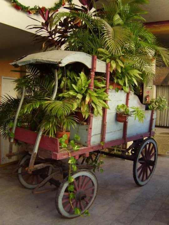Eine Blumenkutsche zwischen dem Pool & Zimmern Hotel Los Aluxes