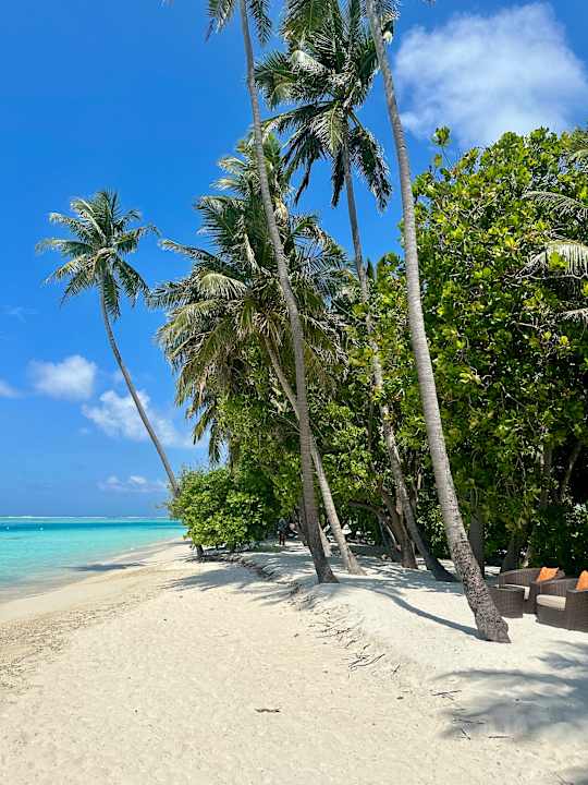 Strand Meeru Maldives Resort Island