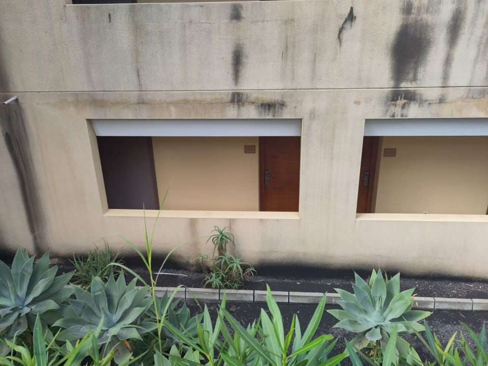 Zimmer La Palma Princess