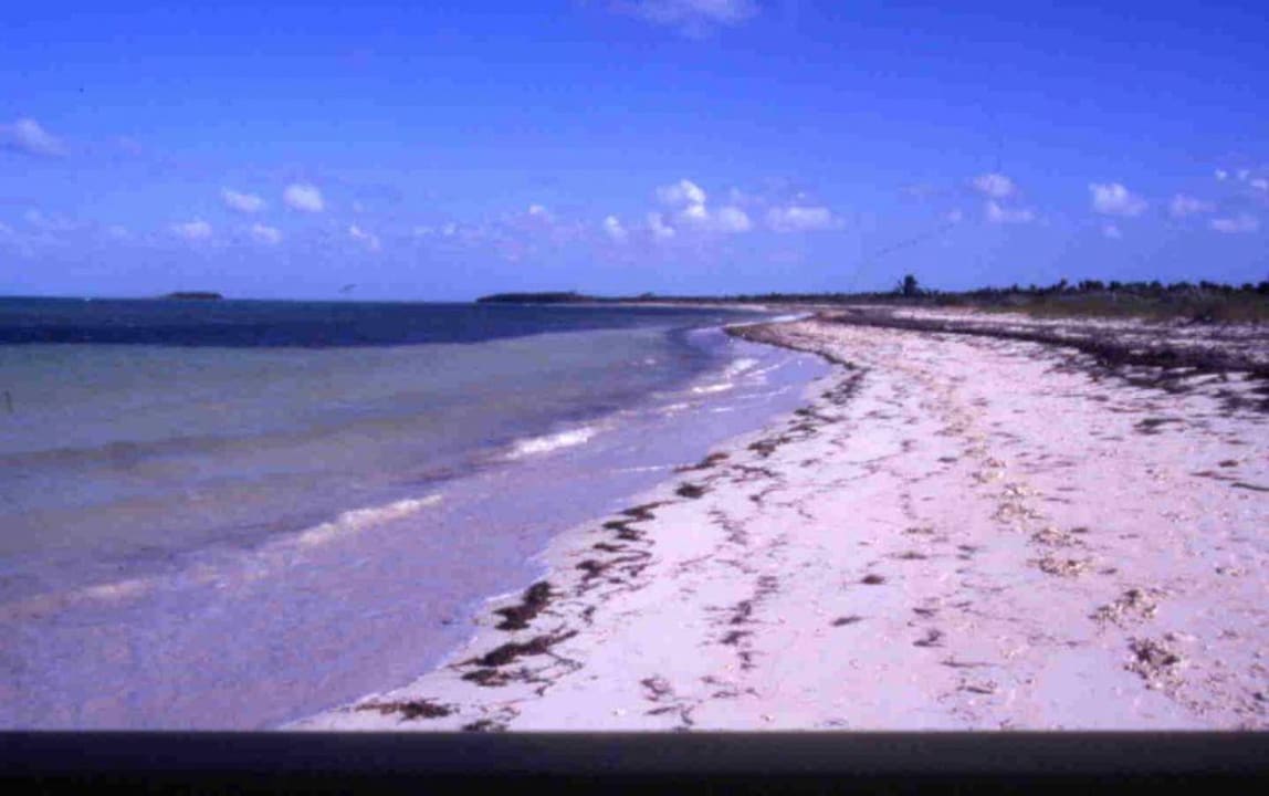 Strand Hotel Melia Cayo Coco - Adults only