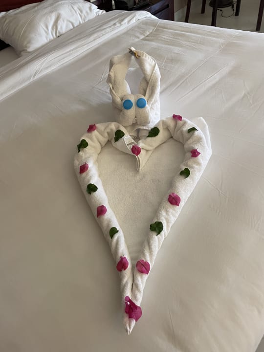 Zimmer Brayka Bay Resort