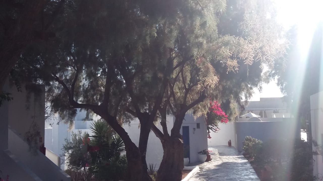 Außenansicht Knossos Beach Bungalows Suites Resort & Spa