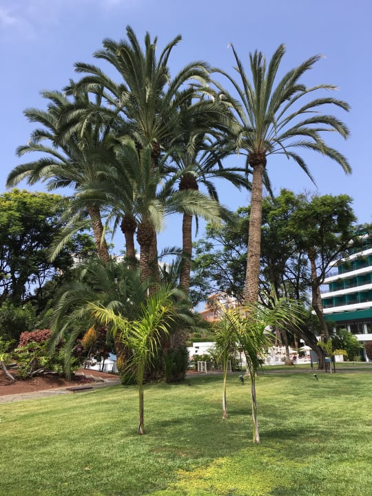 Gartenanlage TRH Taoro Garden