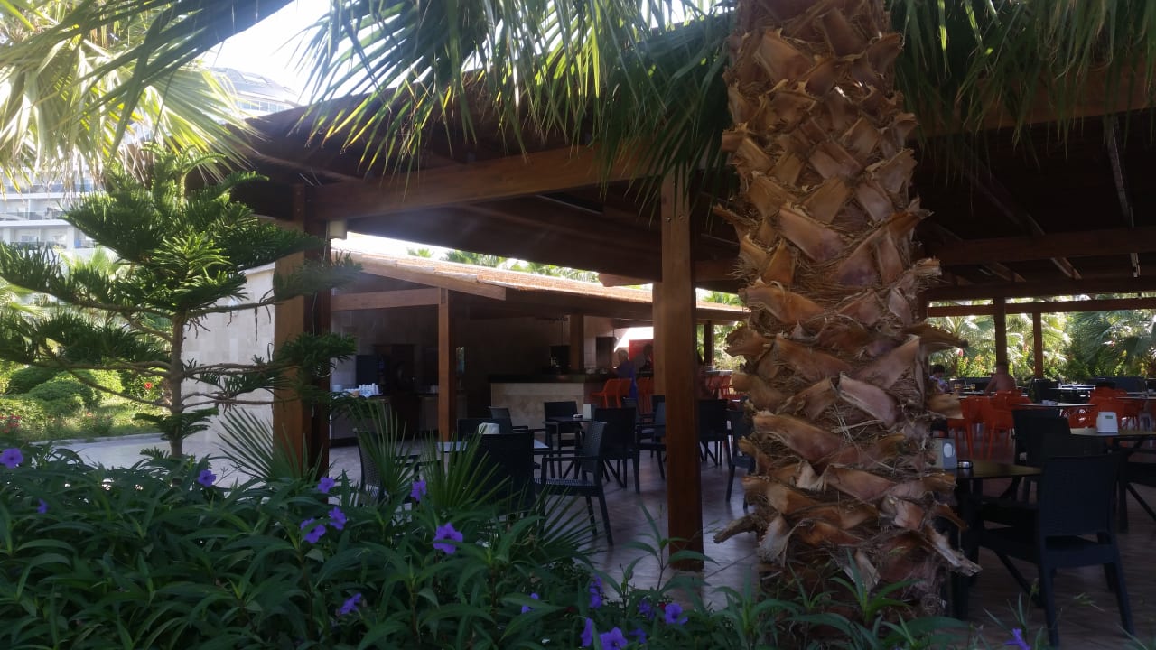 Gastro Seaden Sea Planet Resort & Spa