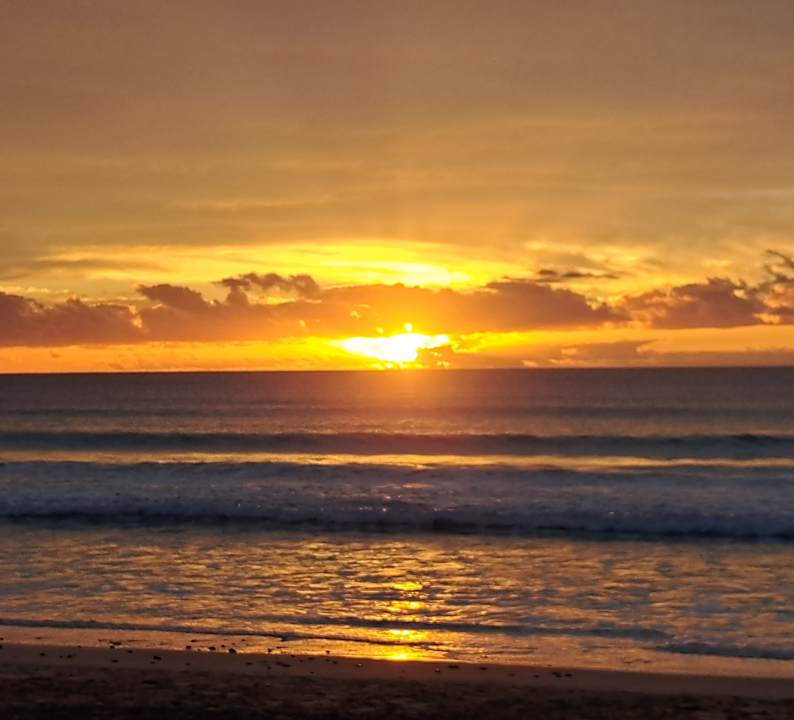 Ausblick Hotel Riu Karamboa