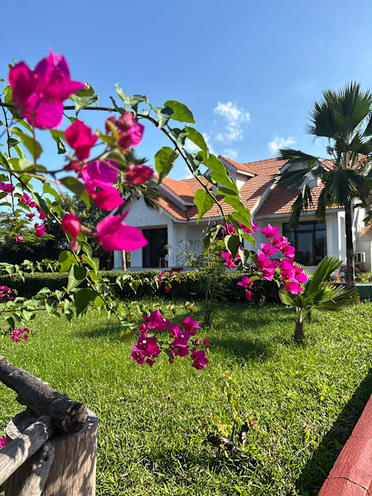 Gartenanlage Azao Resort & Spa - Hotel Zanzibar