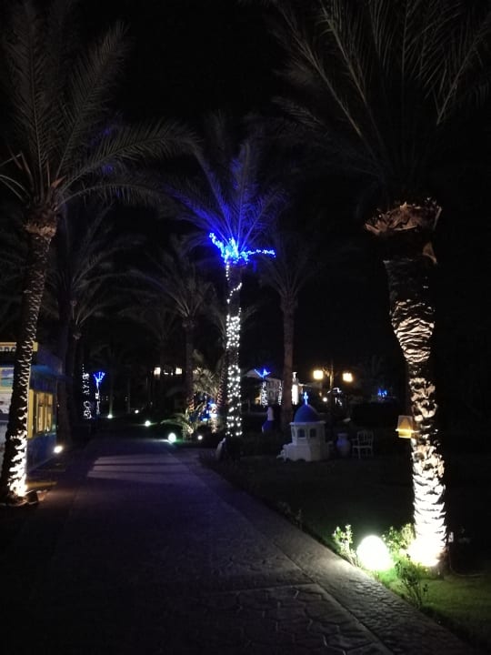 Gartenanlage Palm Royale Resort - Soma Bay