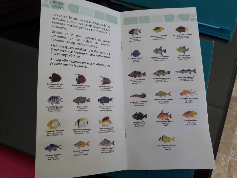 Zimmer Akumal Bay Beach & Wellness Resort