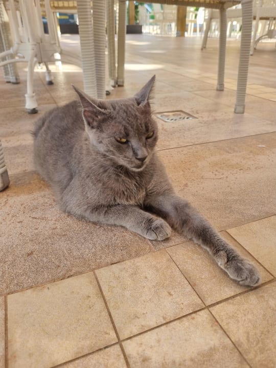 Sonstiges Sentido Trendy Verbena Beach