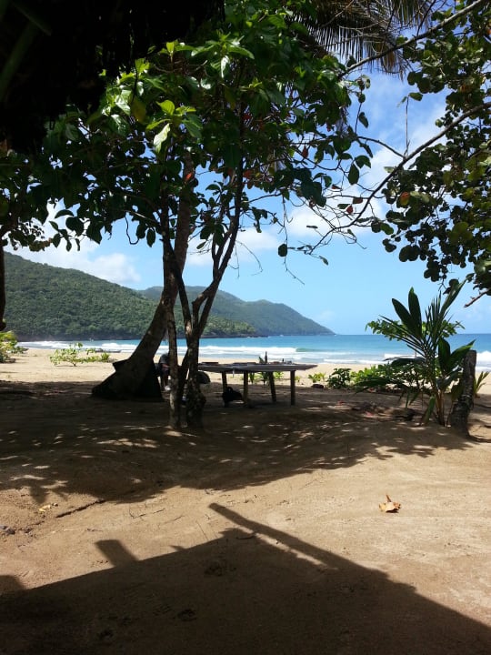 Genial zum Erholen Wyndham Alltra Samana