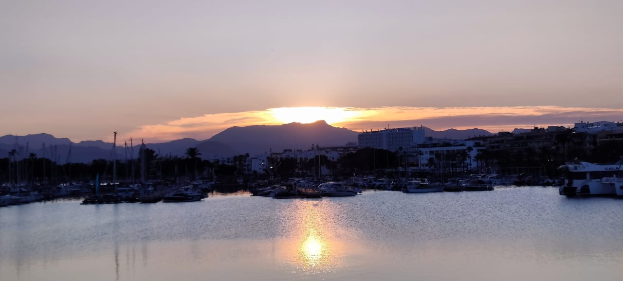 Ausblick Alcudia Garden Aparthotel