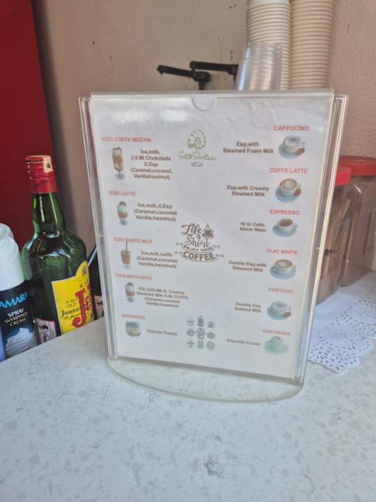 Gastro Seashell Vega