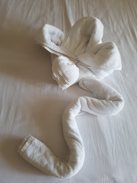 Zimmer Regina Resort and Aqua Park Hurghada